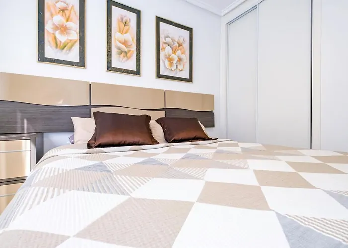 Alegria Id156 Torrevieja