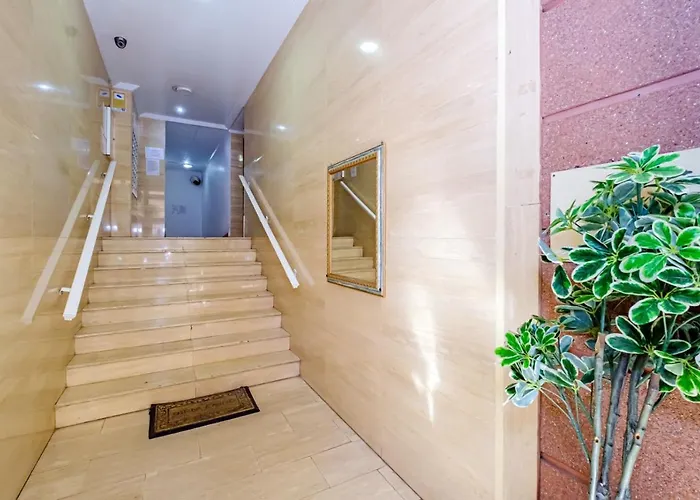 Alegria Id156 * Torrevieja